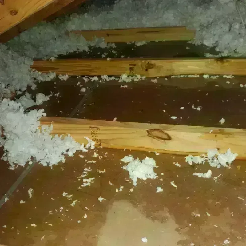 Attic Water Damage in Williamsburg, PA